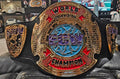 ECW World Television Championship Replica Belt 4MM Zinc 3D CNC Adult Size