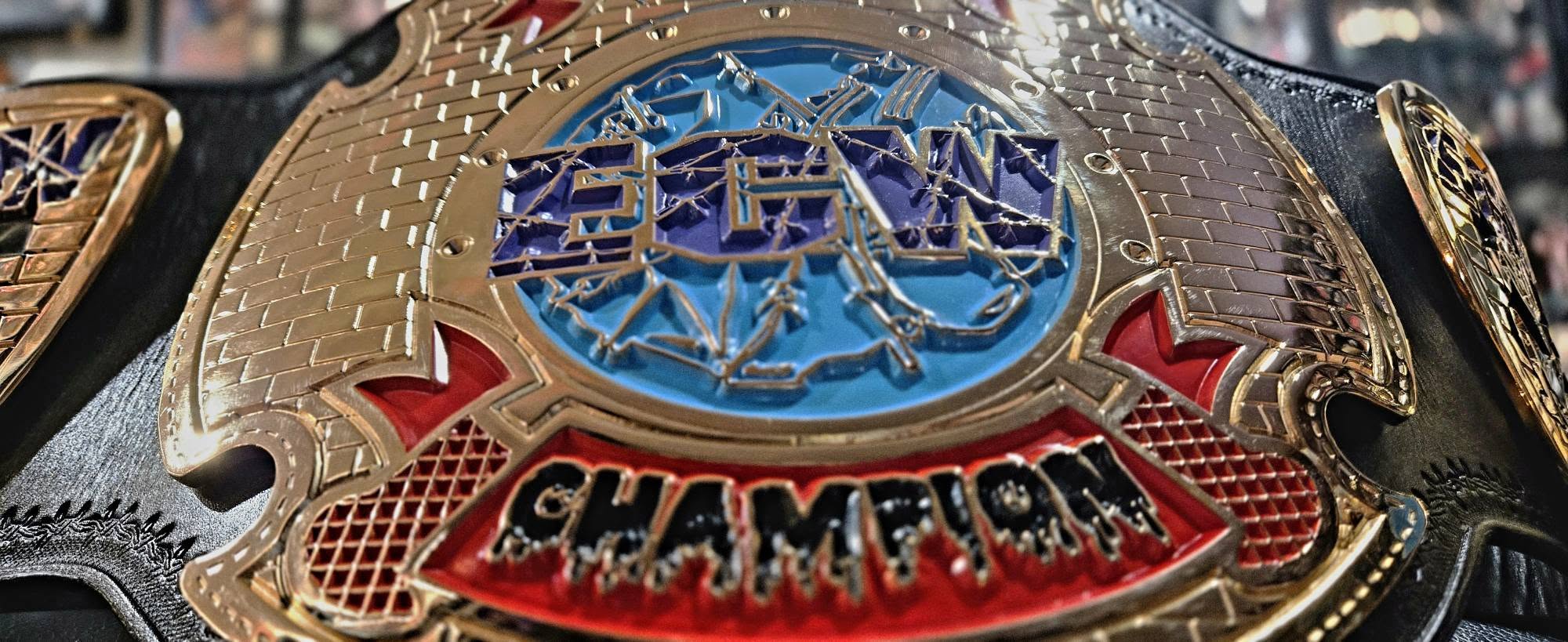 ECW World Television Championship Replica Belt 4MM Zinc 3D CNC Adult Size