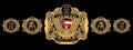 Custom Championship Belt – Personalized Logo & Name – Gold/Nickel Plated – 2mm/4mm – Real Leather Strap