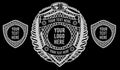 Custom Wrestling Championship Belt – Personalized Name & Logo,4mm/2mm, Gold/Nikal Plated