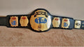 WCW World Tag Team Championship Belt Gold Plated Real Leather
