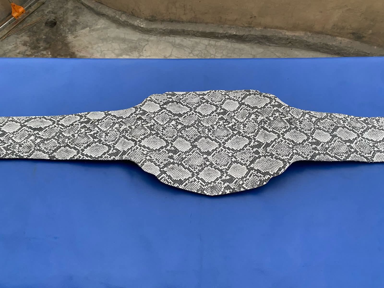 All Elite Wrestling AEW World Tag Team Championship Belt - Authentic Design AEW Role-Play, Wear, and Display Belt