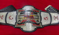 TNA X-Division Championship Replica Belt 4MM ZINC