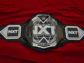 Premium CNC 3D NXT Women Championship Belt Adults Size 4MM 24K Dual Real leather Hand Tooling