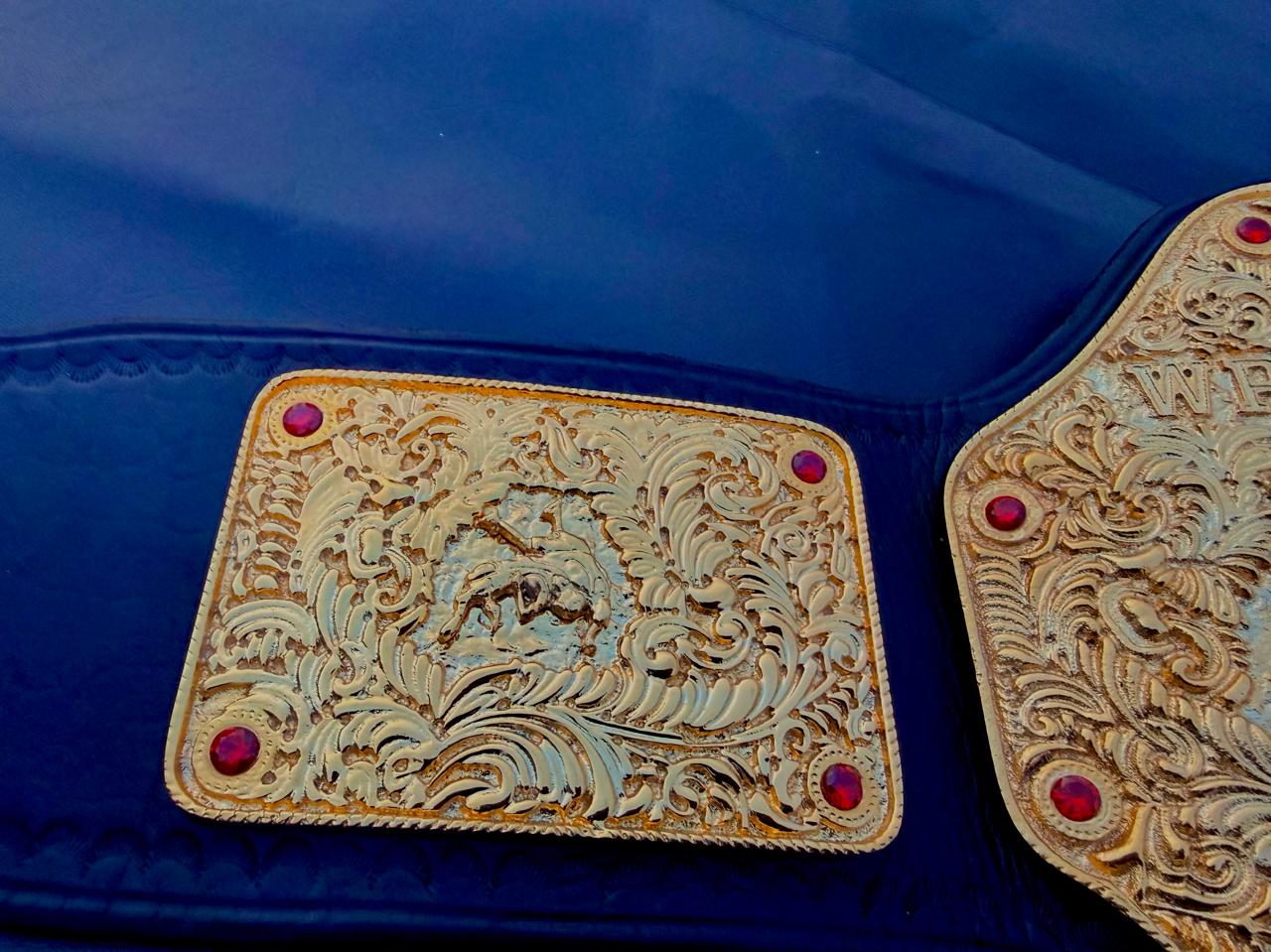 Premium CNC 3D Big Gold World Heavyweight Championship replica title belt featuring 24k gold plated plates and a high-quality leather strap.