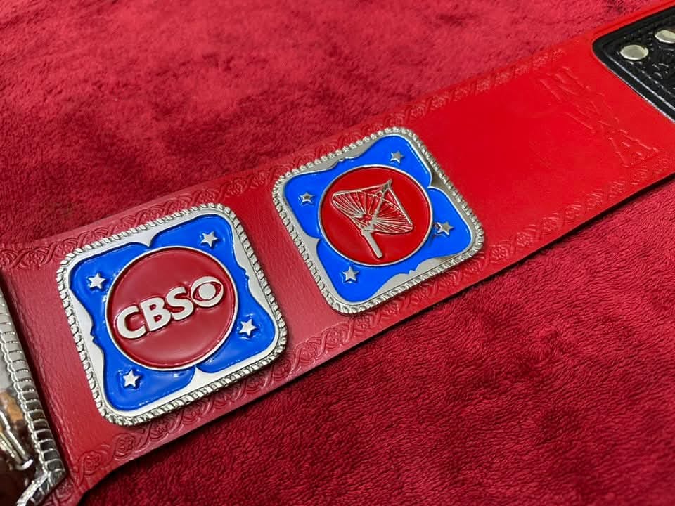 NWA TELEVISION HEAVY WEIGHT CHAMPIONSHIP REPLICA BELT 4MM ZINC RED ADULT SIZE TITLE