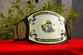UWF Television Heavyweight Wrestling Championship Title Belt Engraved Wrestling, Boxing, MMA Trophy 2mm