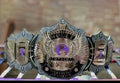 NEW UNDERTAKER 30 YEARS CHAMPIONSHIP REPLICA TITLE BELT 2MM BRASS