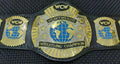 OFFICIAL WCW WORLD HEAVYWEIGHT CHAMPIONSHIP REPLICA WRESTLING BELT 2MM BRASS - Leather Strap - Free Shipping