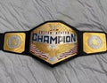 New United States Championship Replica Title Belt Adult Size 2MM Brass Plates