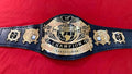 The Old undisputed championship replica title belt 2mm Brass Wrestling belt adult