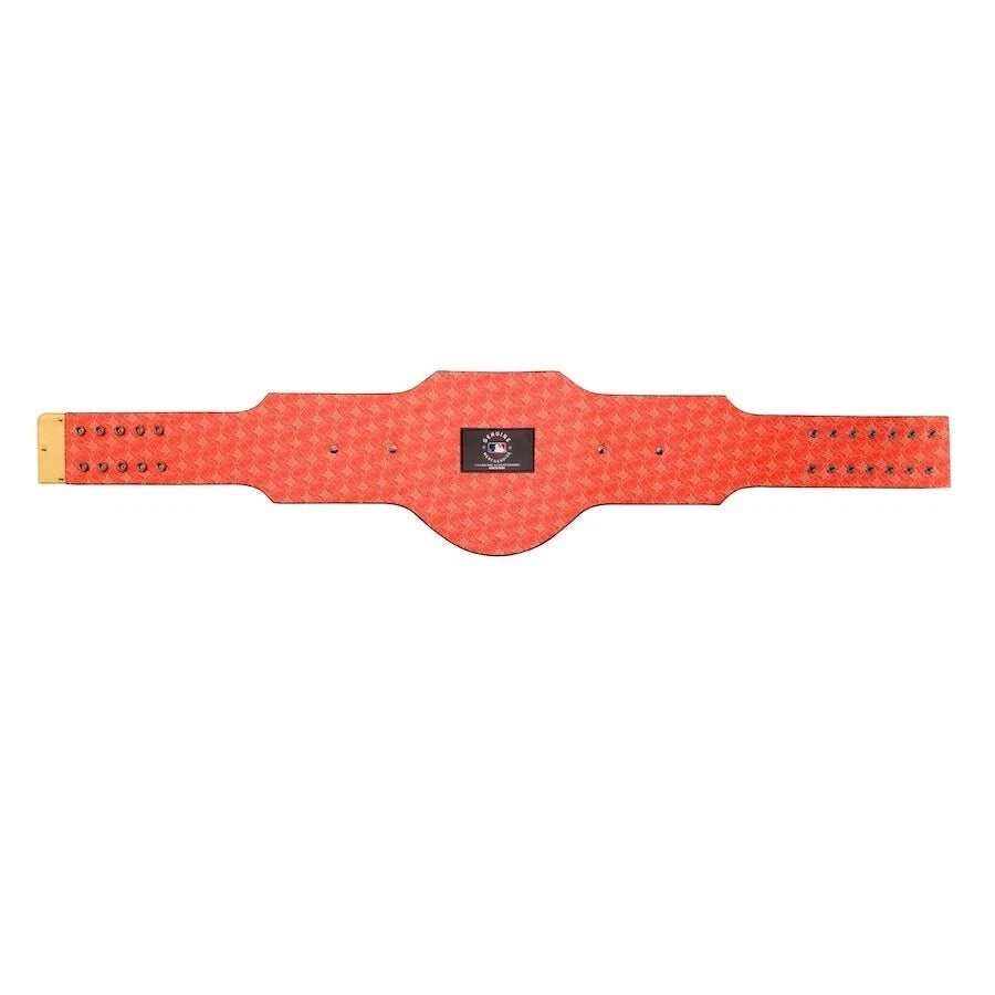 Anaheim Ducks NHL 2mm Championship Belt Gold Plated Real Leather