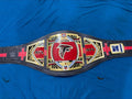 Atlanta Falcons Championship Belt Title Adult Size 2mm Brass