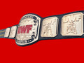UWF HEAVYWEIGHT UNIVERSAL WRESTLING FEDERATION CHAMPIONSHIP 4mm Zinc
