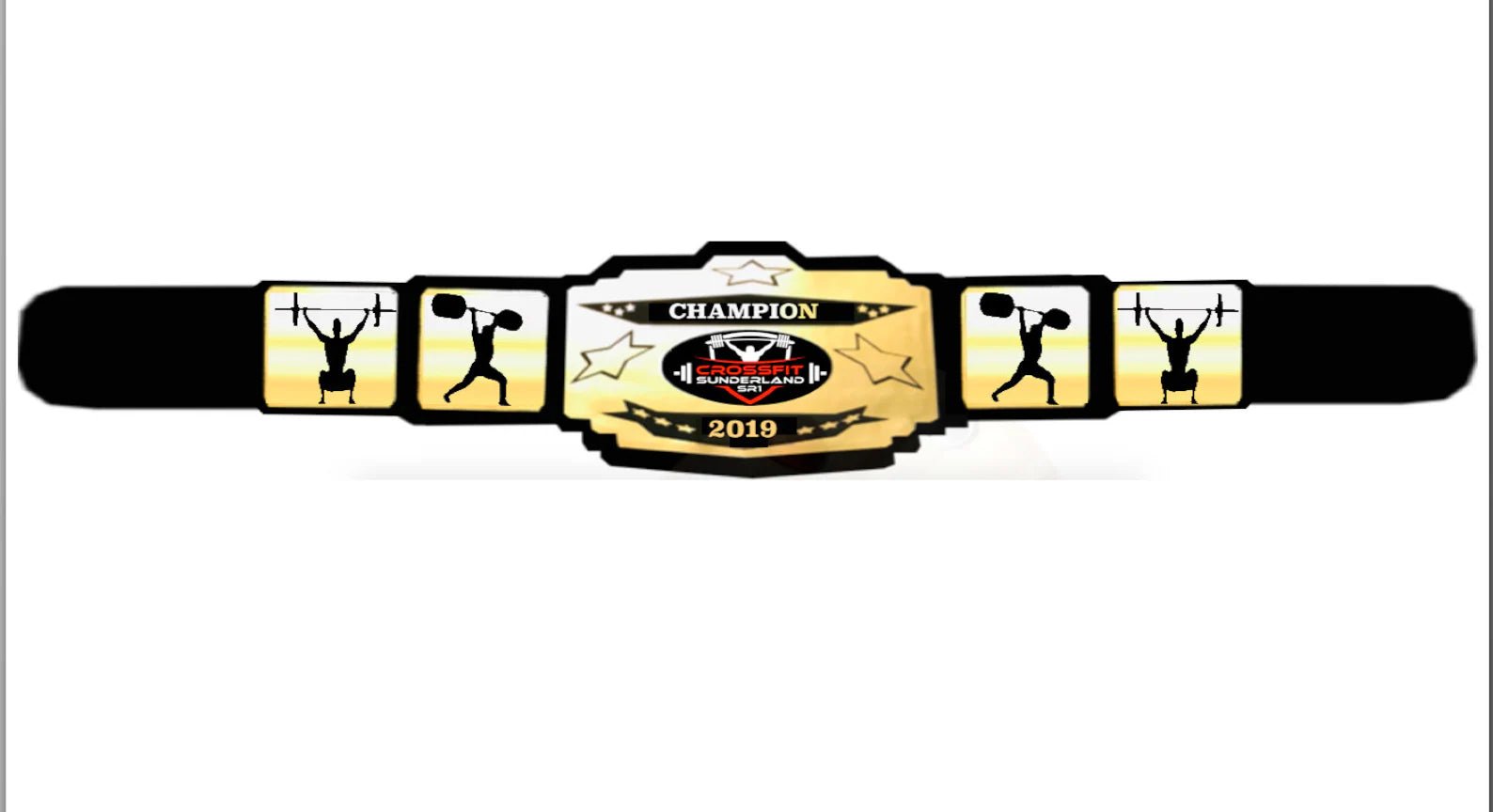 C14_._ Adult Sized Custom Made Championship Belts ( 36 Inch Waist Size and Larger) - Image 2