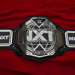 Premium CNC 3D NXT Women Championship Belt Adults Size 4MM 24K Dual Real leather Hand Tooling