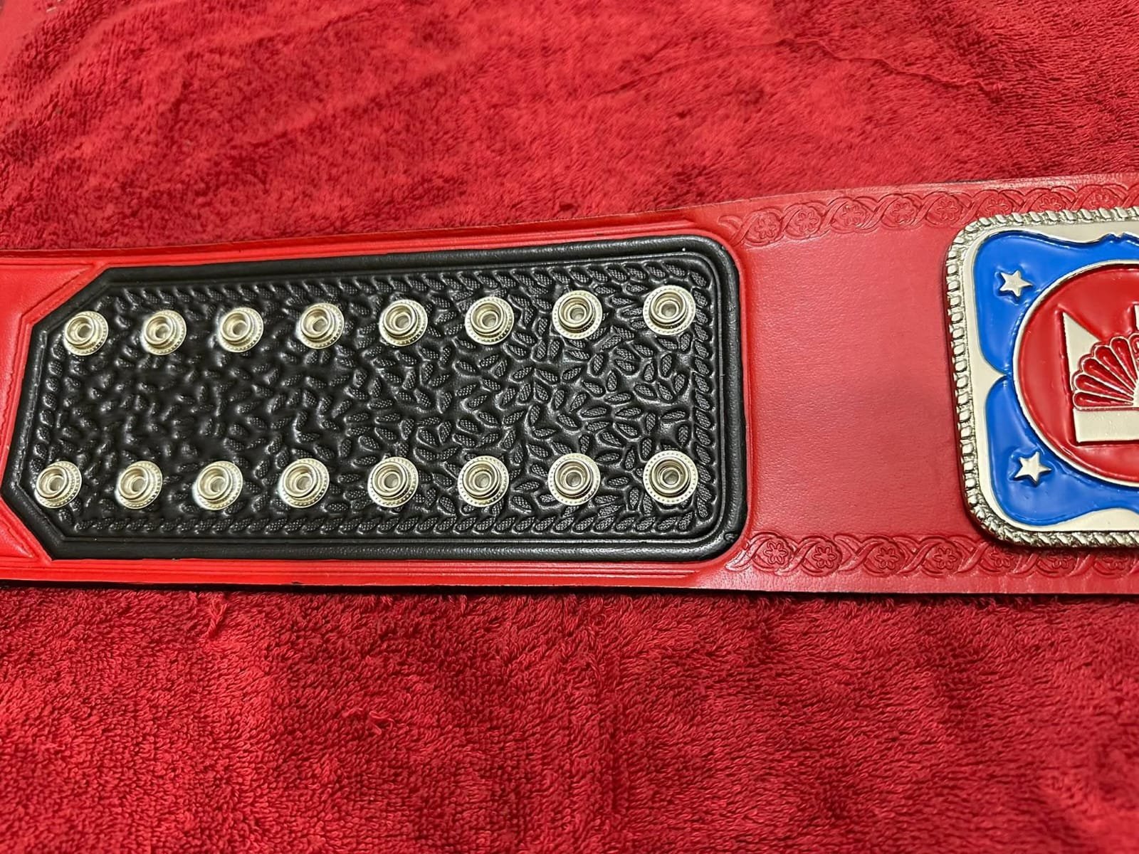 bb_1 NWA TELEVISION HEAVY WEIGHT CHAMPIONSHIP REPLICA BELT 4MM ZINC RED ADULT SIZE TITLE - Image 2
