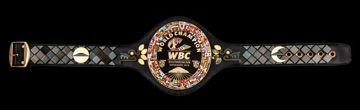 s-l1600_7_e7143a97-4fdd-4480-bf0f-76abd54a5762 Teotihuacán WBC World Boxing Championship Replica Belt Adult Size Custom 4MM - Image 2