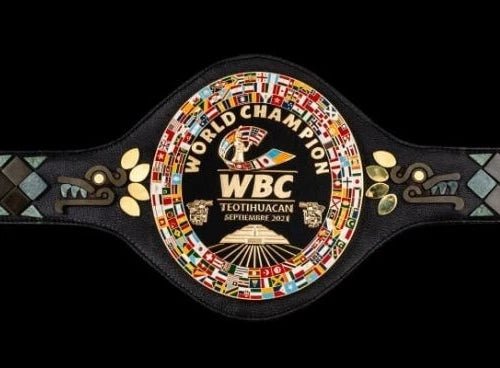 s-l960_49_b66b2161-8db8-47c0-98c6-1e69d0e5745c Teotihuacán WBC World Boxing Championship Replica Belt Adult Size Custom 4MM