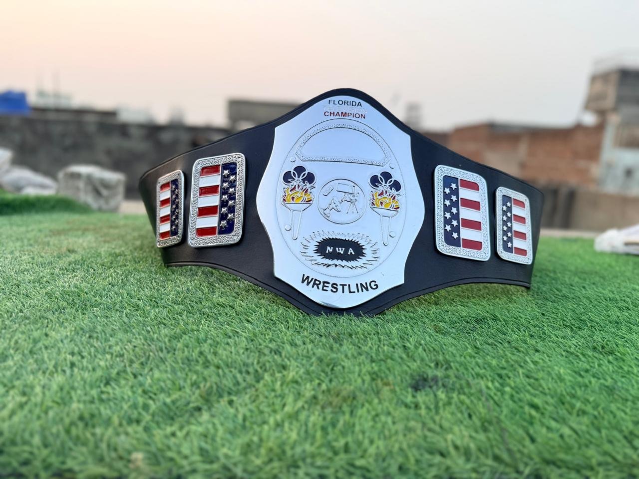 t_2_c6fa5097-22bf-4f2b-ba5f-abf94794d898 NWA Florida television Championship Belt Adult Size Replica 4mm Zinc - Image 2