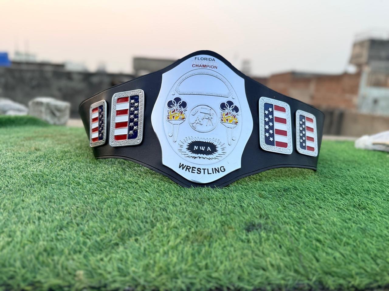t_3_d096514f-cecd-4f1e-b655-6cbeadef52fd NWA Florida television Championship Belt Adult Size Replica 4mm Zinc - Image 3