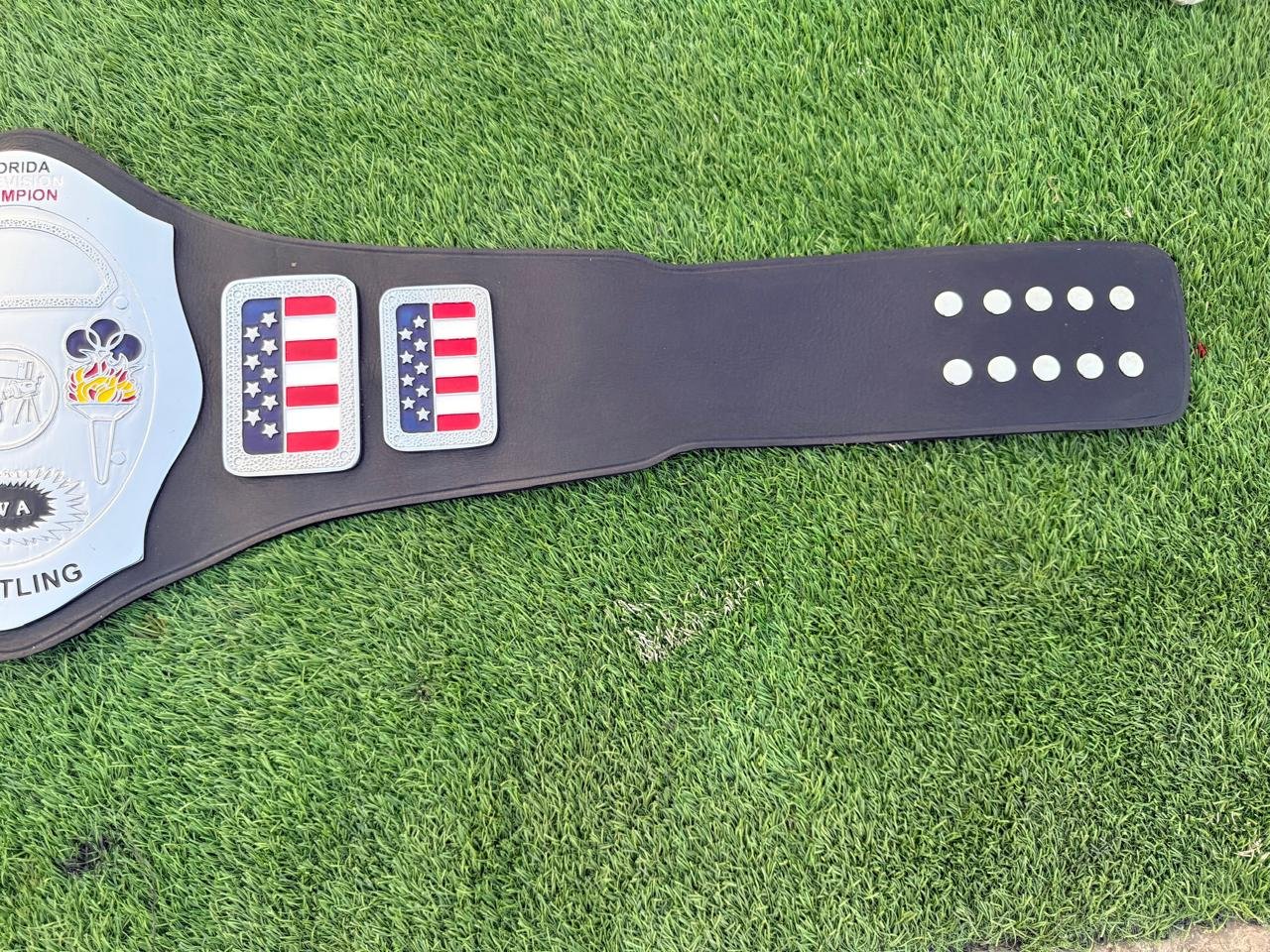 t_4_ff2405d5-cda2-4d7c-9170-efa87838cfe3 NWA Florida television Championship Belt Adult Size Replica 4mm Zinc - Image 4